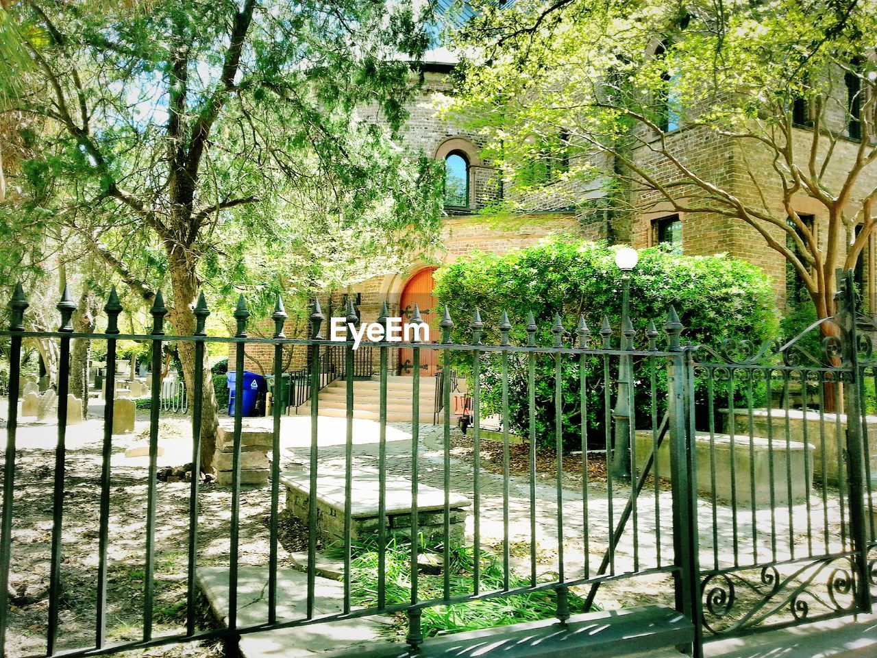 VIEW OF TREES AND BUILDINGS