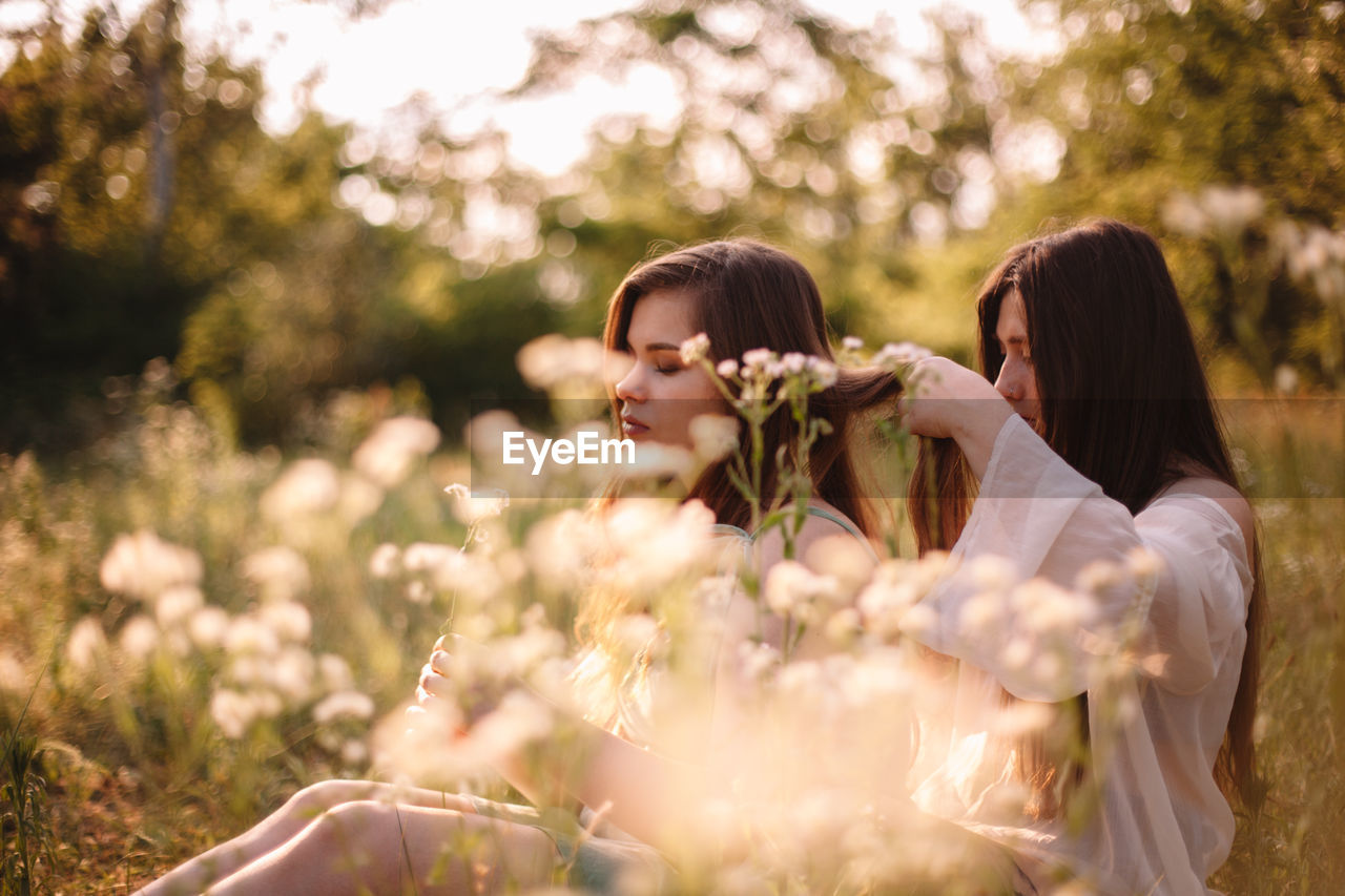 Young woman tying girlfriend’s hair sitting amidst flowers on meadow