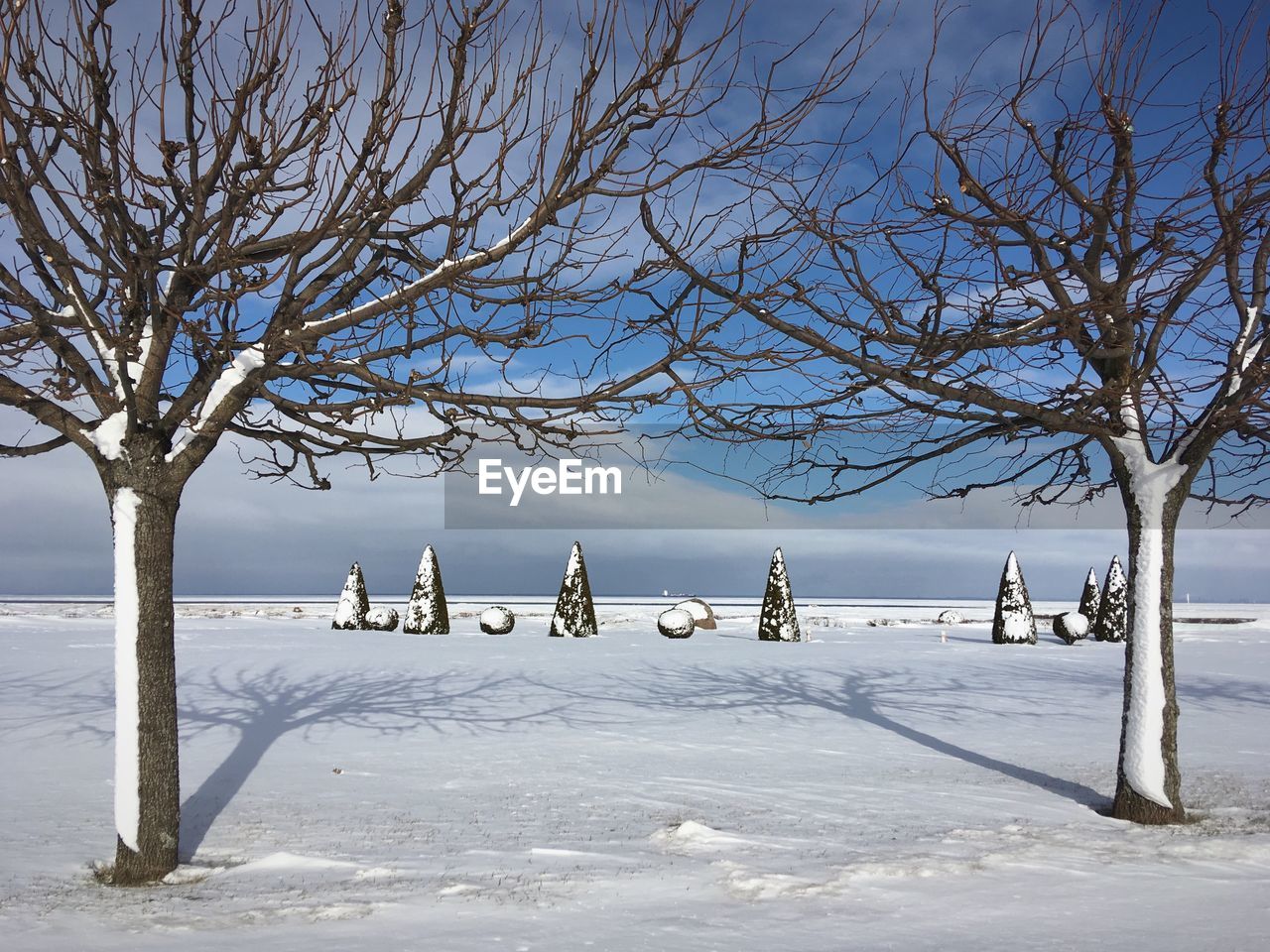 Bare trees on snow covered field against sky