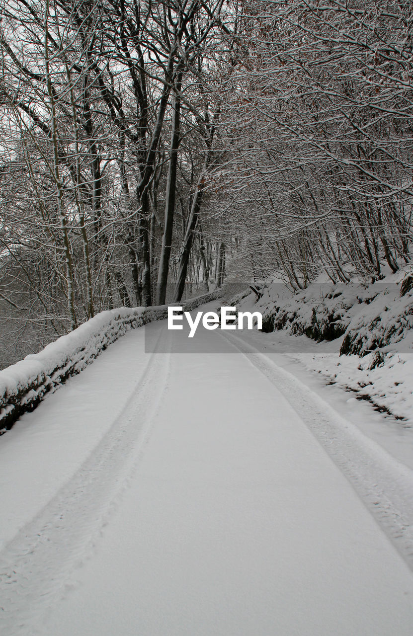 ROAD AMIDST SNOW COVERED LAND AND BARE TREES