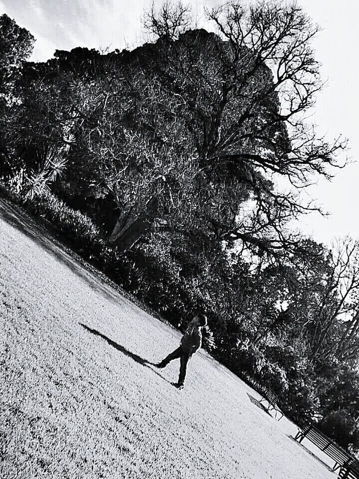 SILHOUETTE OF WOMAN STANDING ON TREE