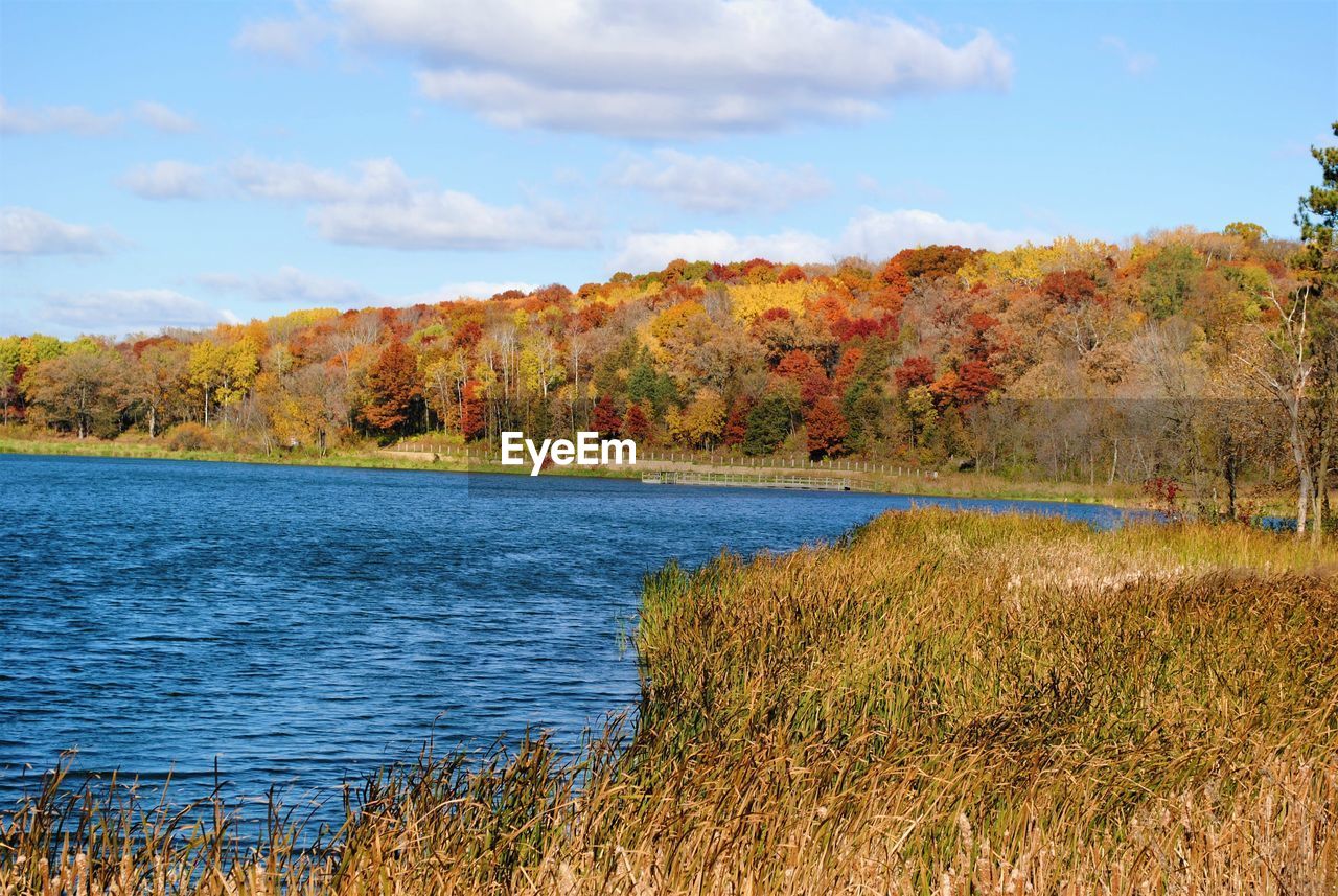 SCENIC VIEW OF LAKE AMIDST TREES AGAINST SKY
