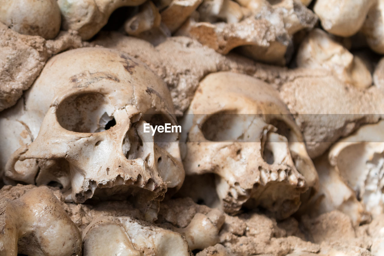 Full frame shot of human skulls