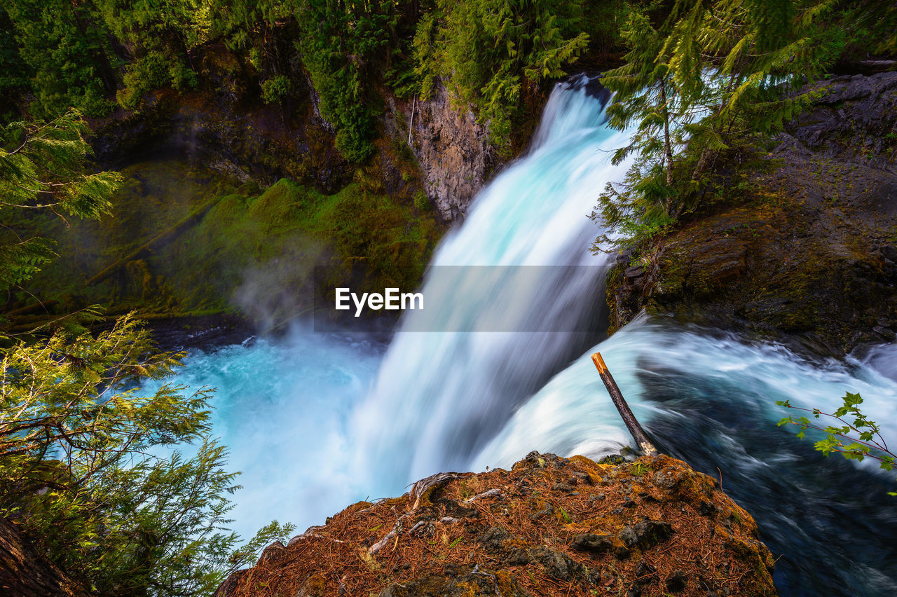 waterfall in forest