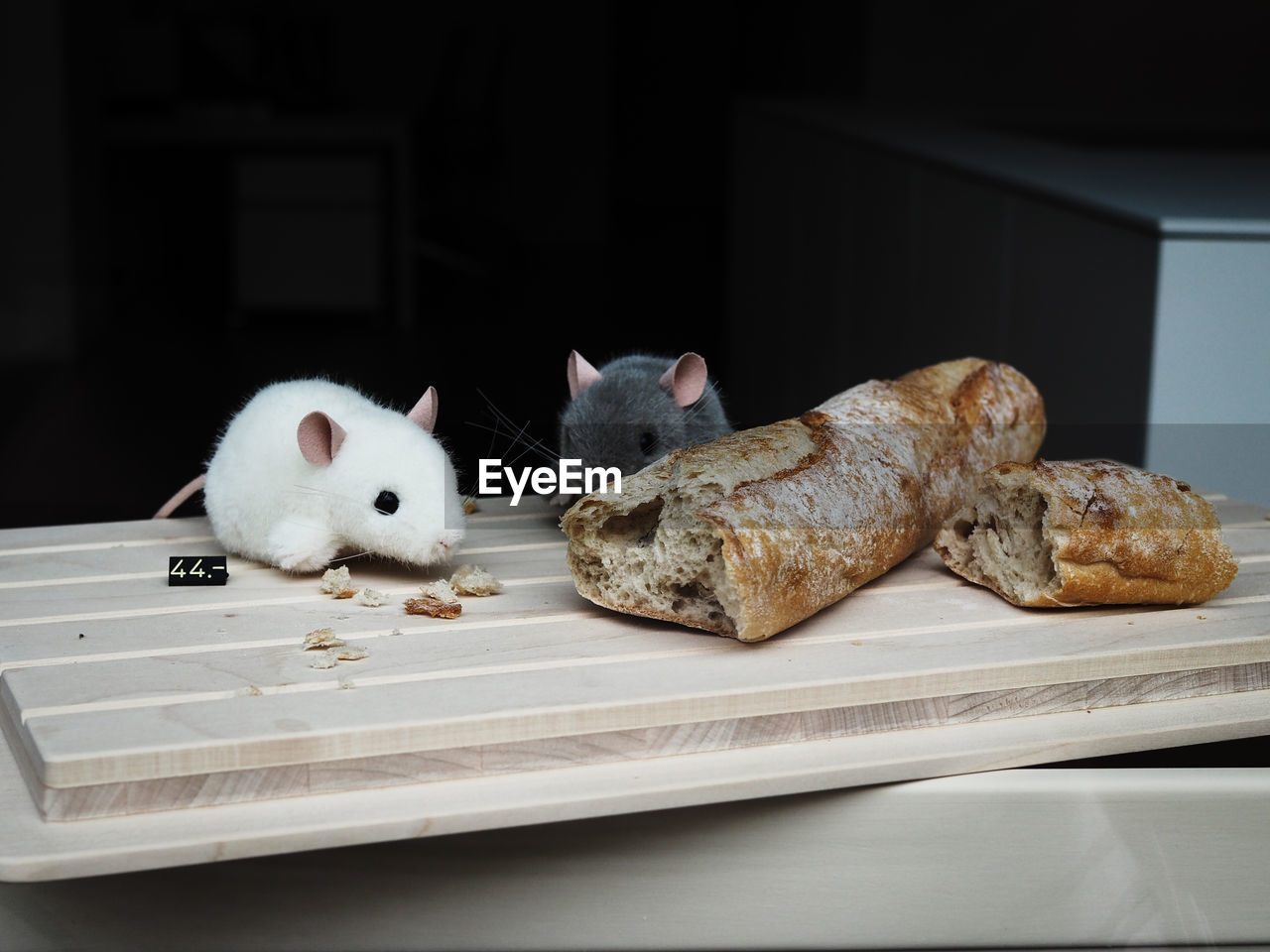 Close-up of mice eating baguette