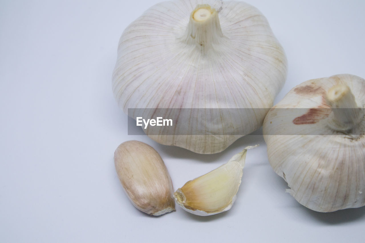 HIGH ANGLE VIEW OF VEGETABLES ON WHITE