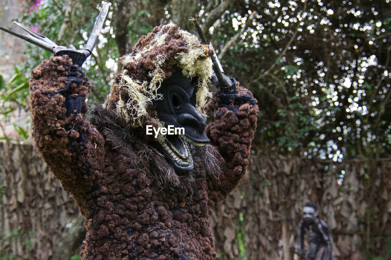 CLOSE-UP OF TURTLE ON TREE TRUNK