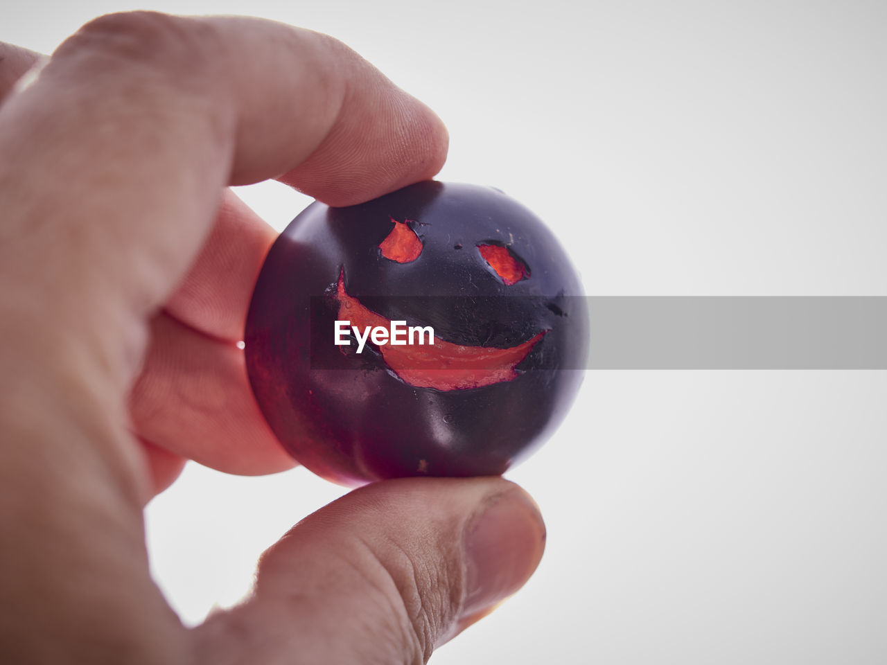 Close-up of hand holding black tomato over white background