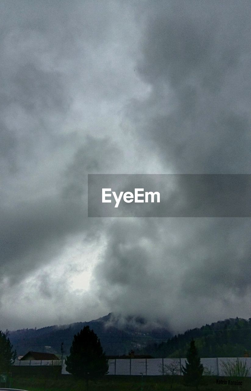 SCENIC VIEW OF STORM CLOUDS OVER PLANTS