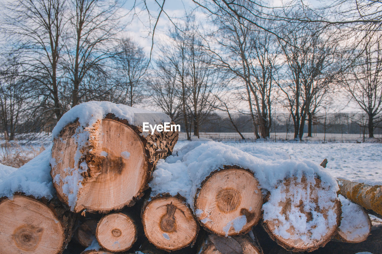 Stacked wood. pile of small logs covered with snow. tree trunks in forest during winter