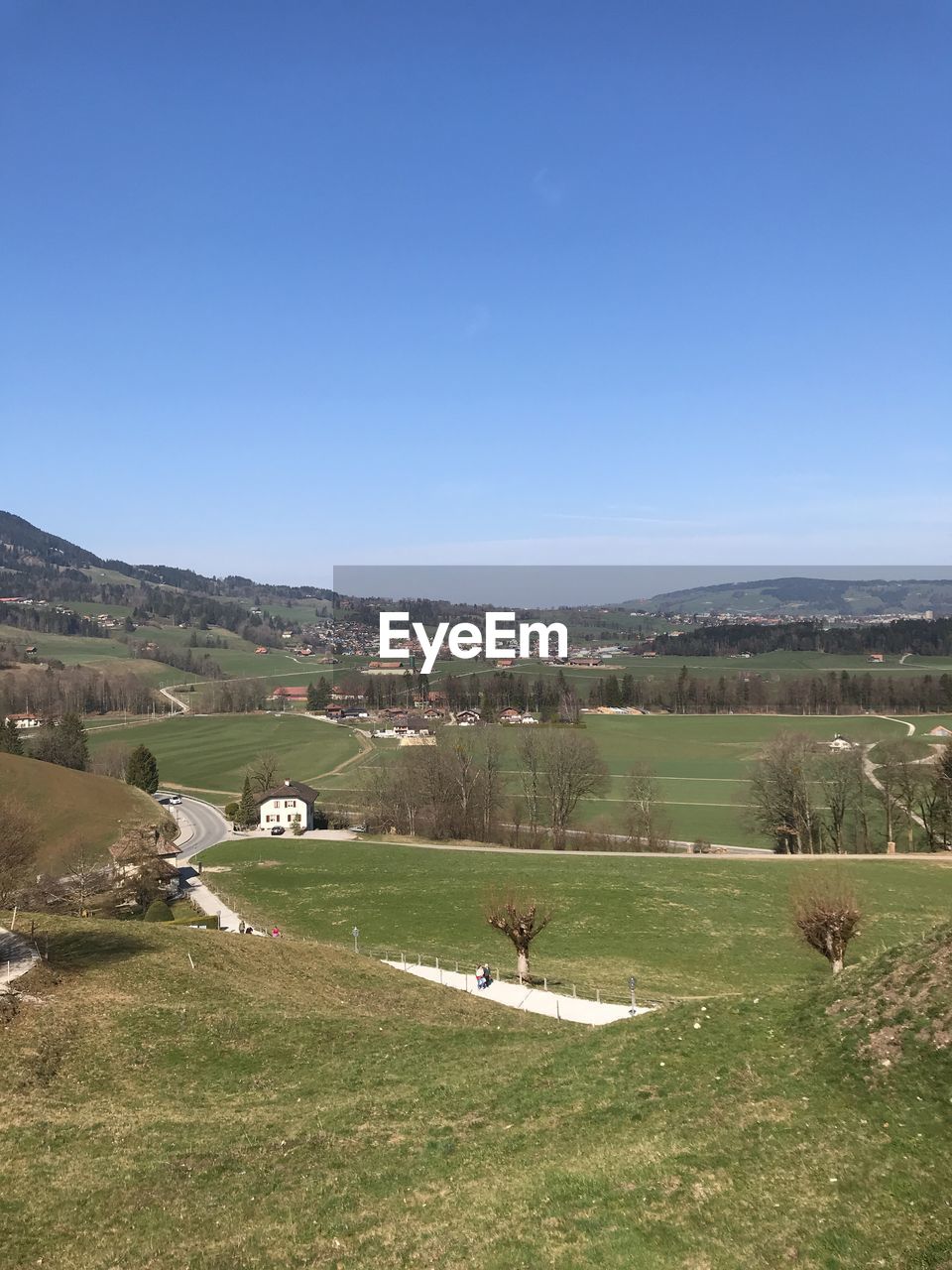 Scenic view of field against clear blue sky