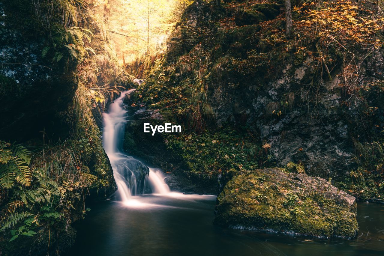 Idyllic view of waterfall