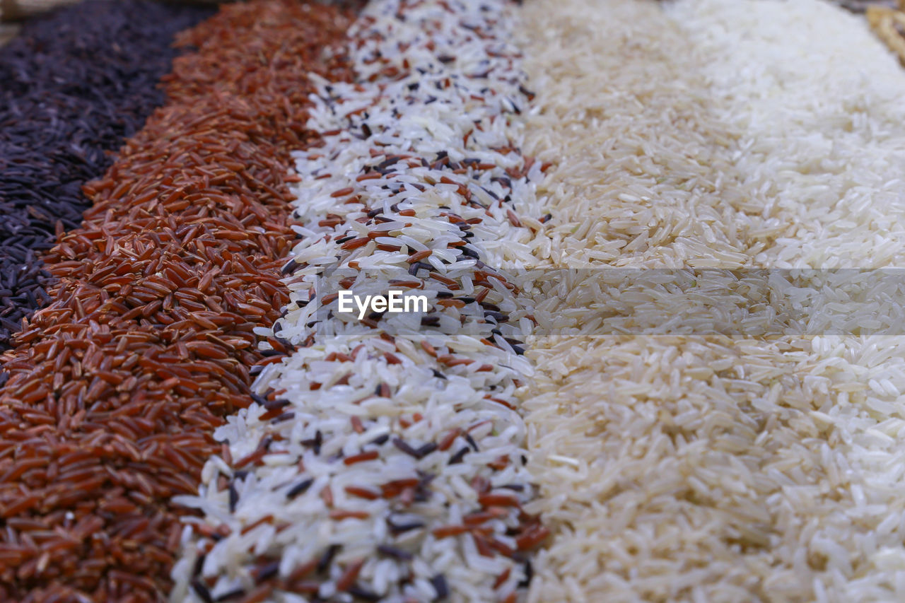 FULL FRAME SHOT OF RICE