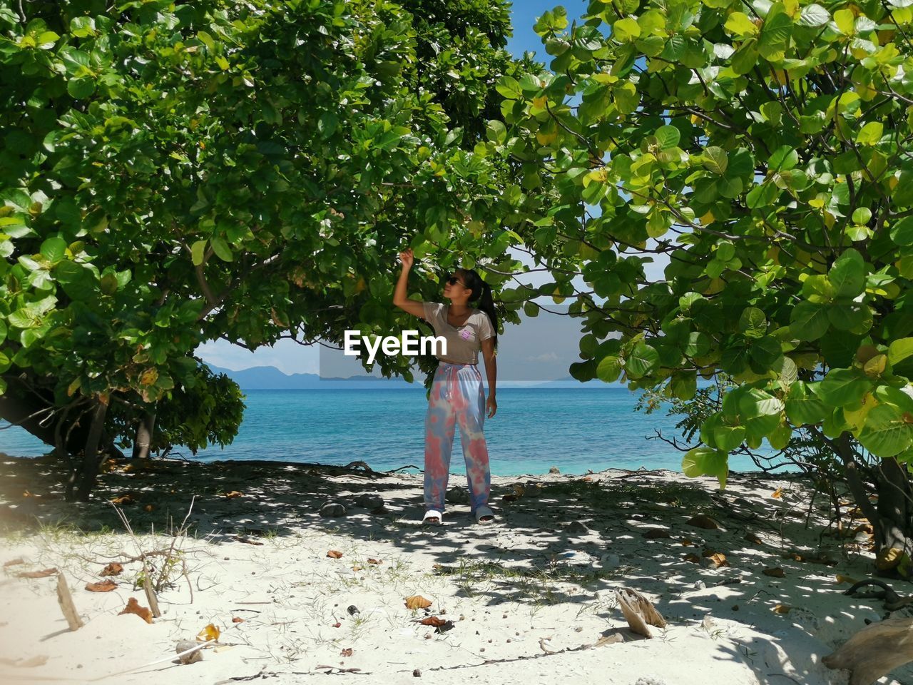 rear view of woman standing by sea against trees