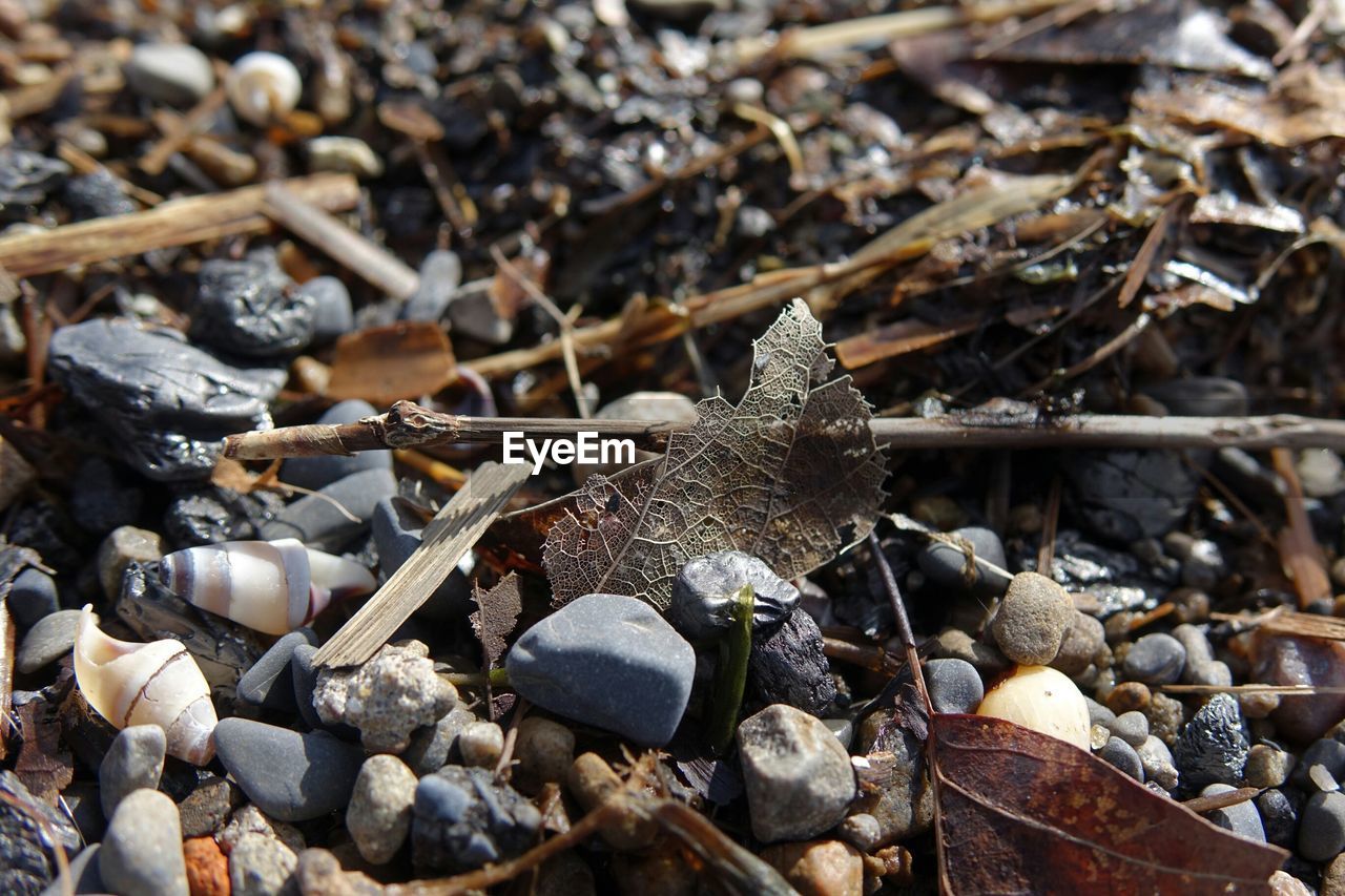 Extreme close up of pebbles