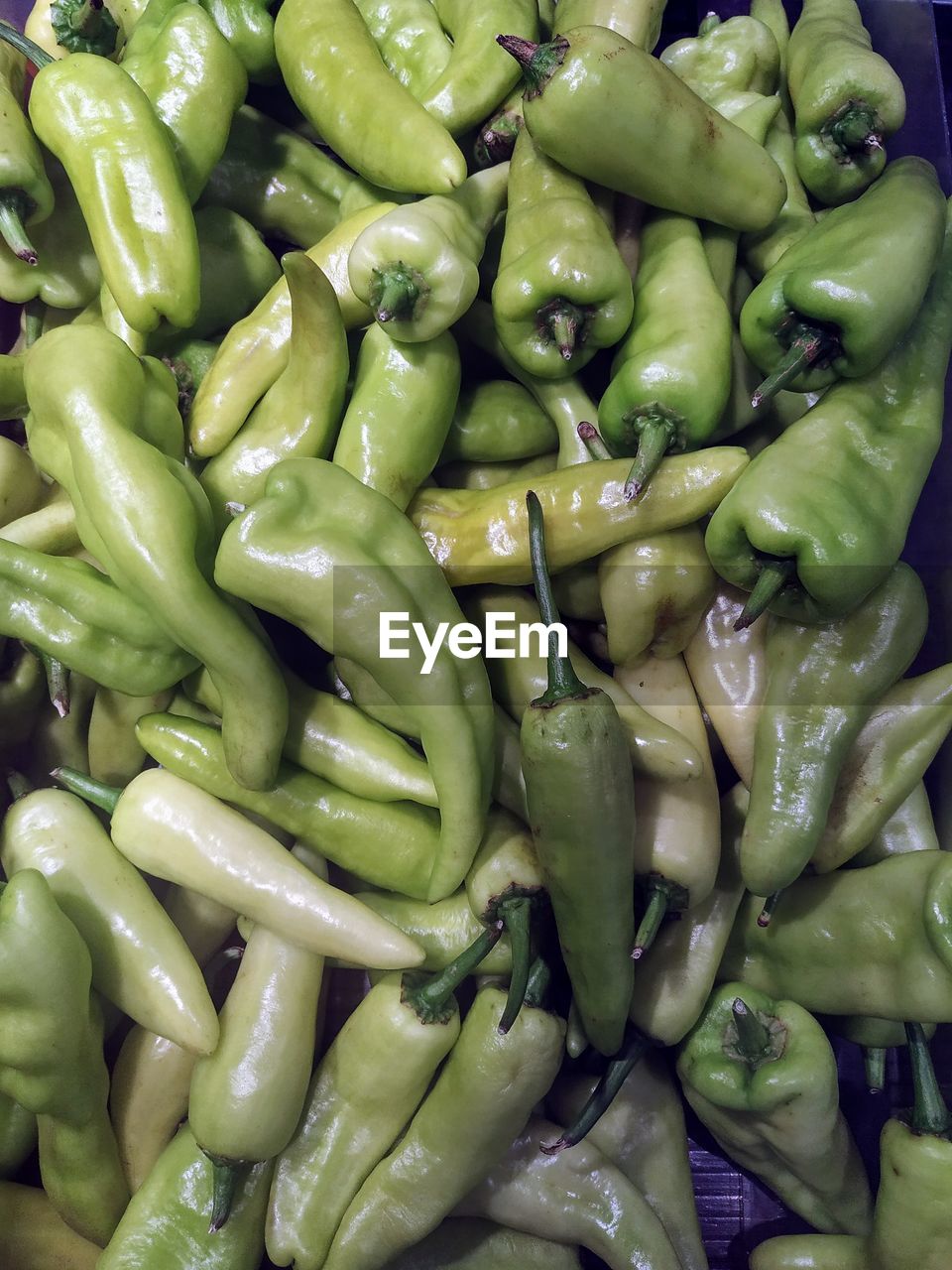 FULL FRAME SHOT OF GREEN CHILI PEPPERS FOR SALE