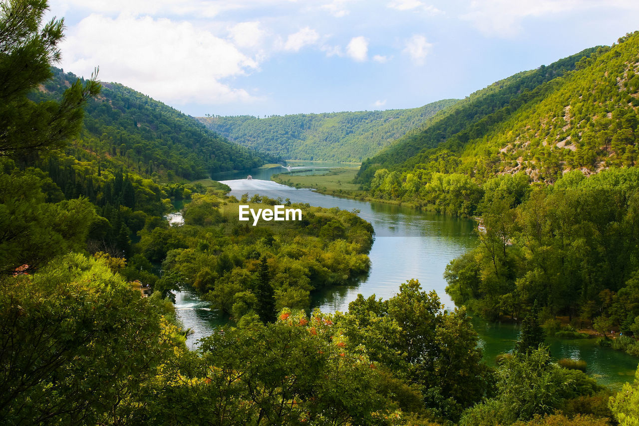 Scenic view of lake by trees in forest against sky