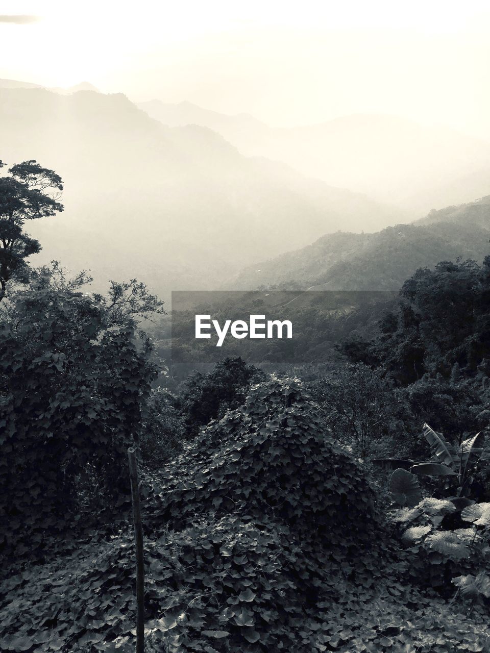 SCENIC VIEW OF MOUNTAINS AGAINST SKY IN WINTER