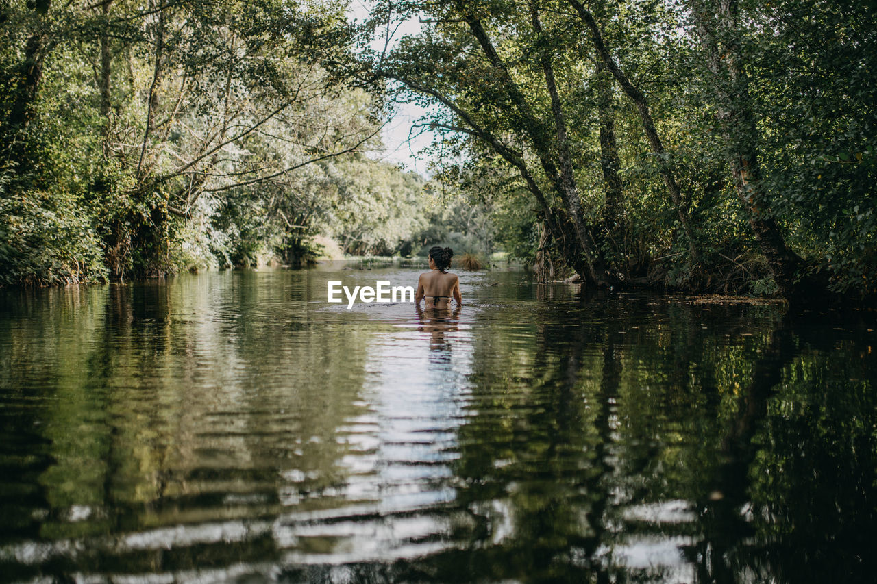 Men in lake by trees in forest