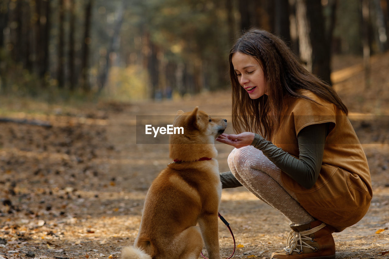 Beautiful woman walking shiba inu dog in fall forest. autumn mood