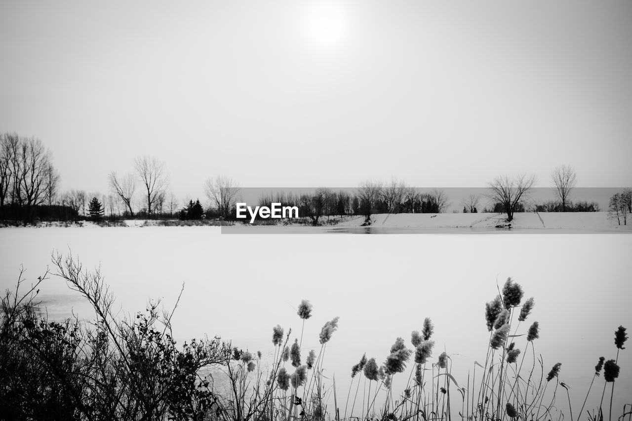 SCENIC VIEW OF LAKE AGAINST CLEAR SKY