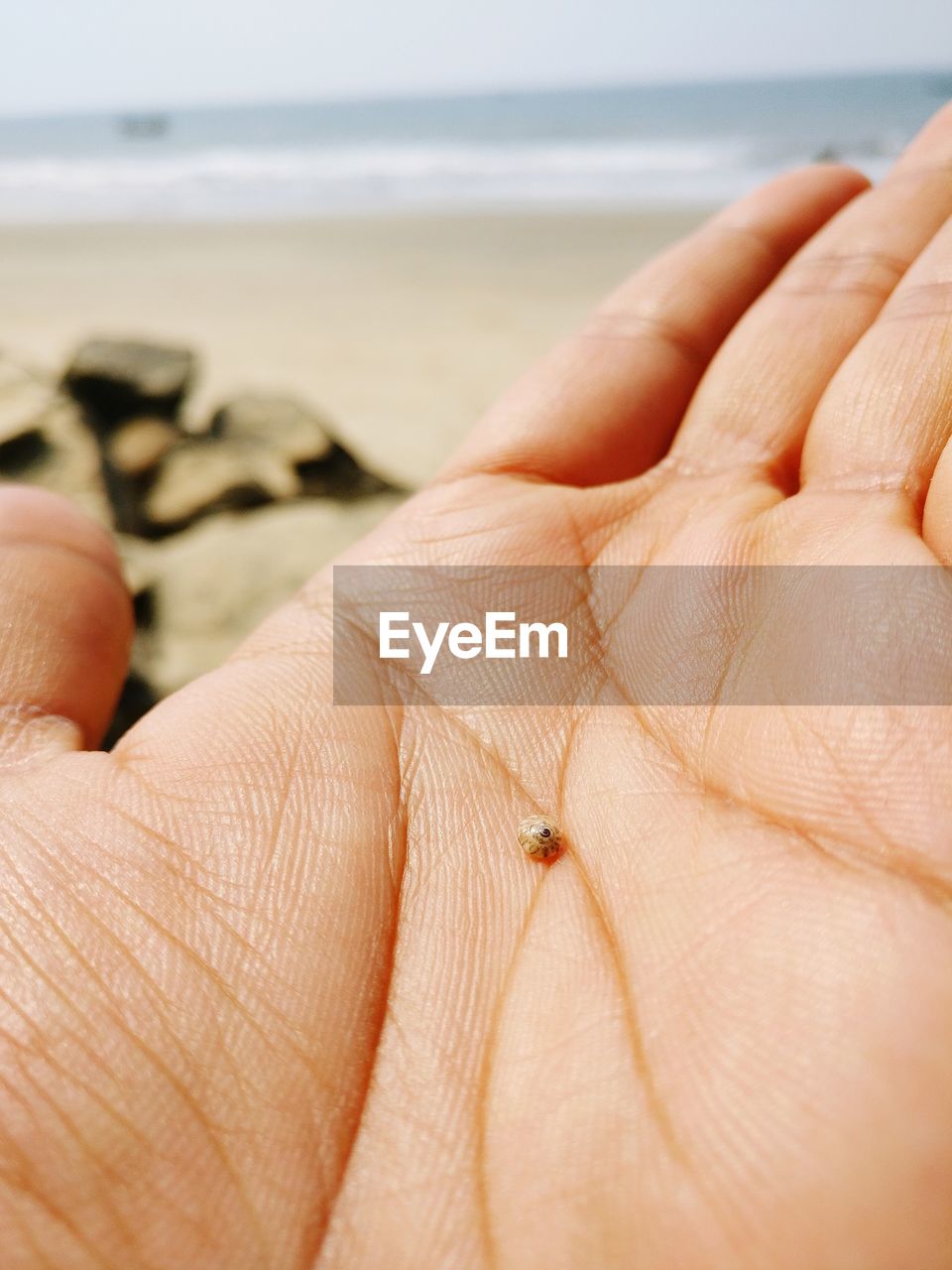 CLOSE-UP OF HAND HOLDING WATER