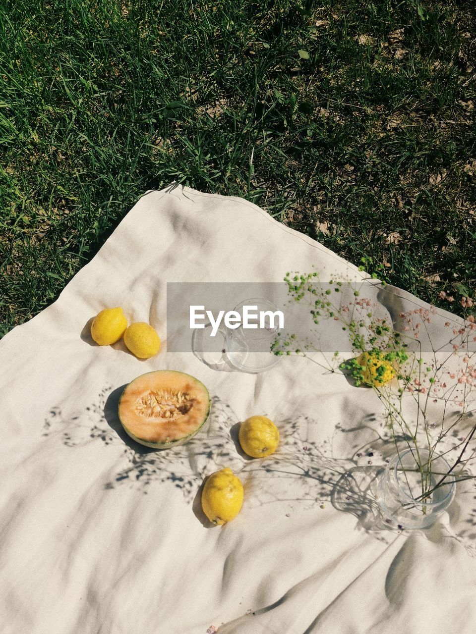 High angle view of lemon and muskmelon on picnic blanket