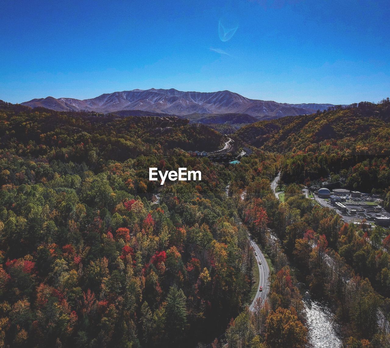 SCENIC VIEW OF FOREST AGAINST SKY