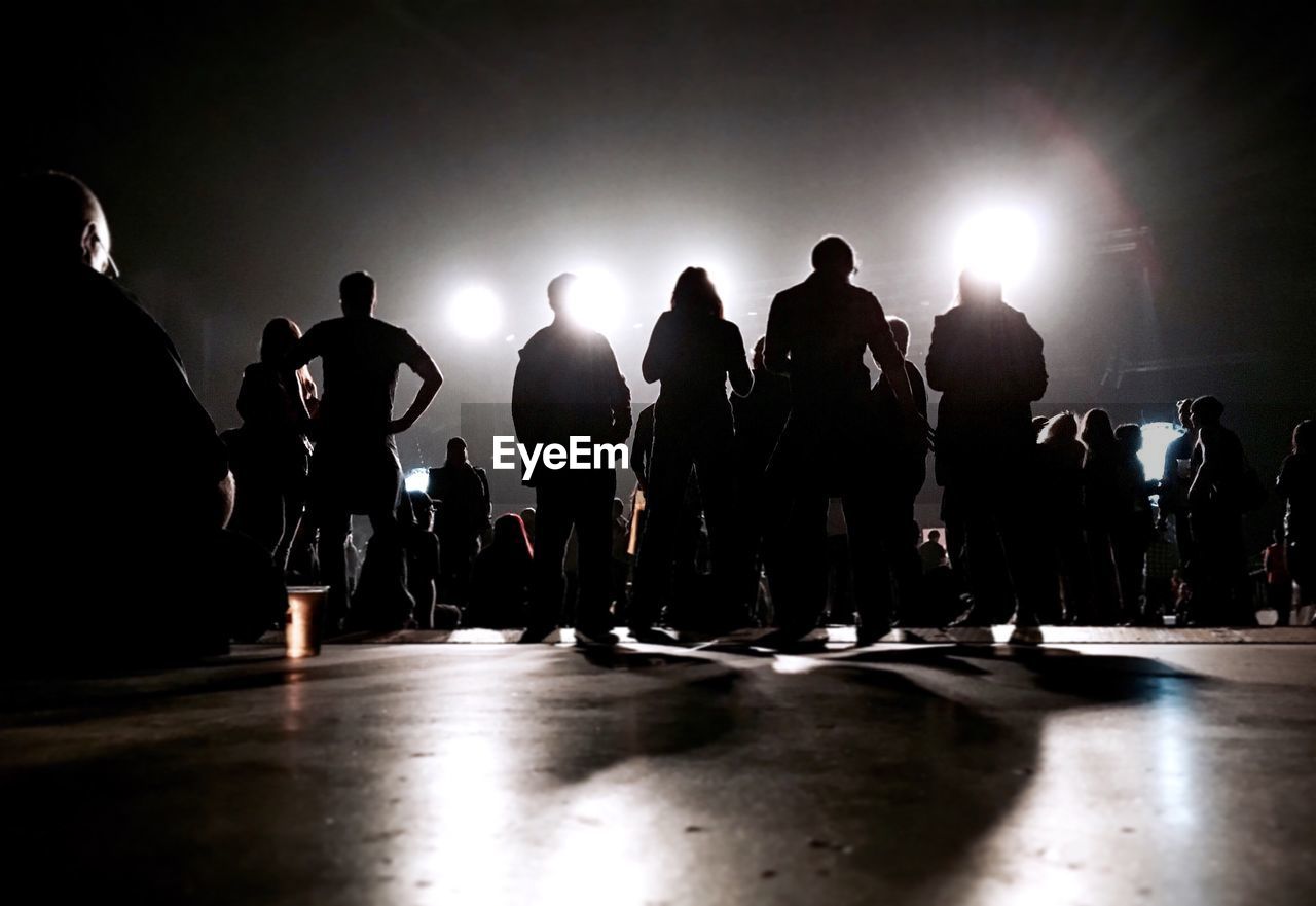 Rear view of crowd during music festival