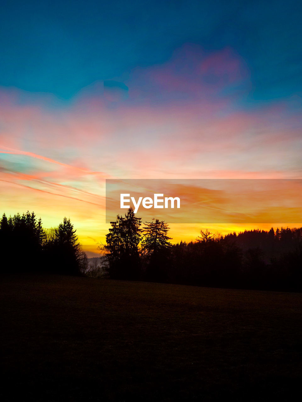 Silhouette of trees on landscape at sunset