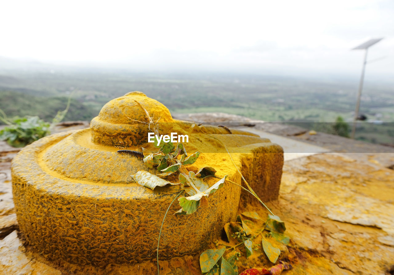 Lingam against landscape