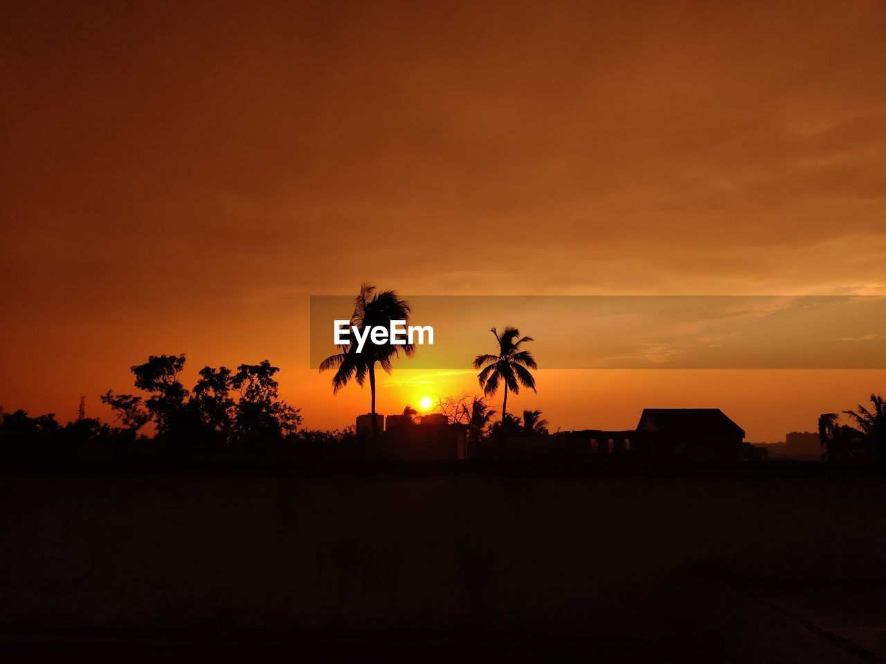 Silhouette palm trees against sky during sunset