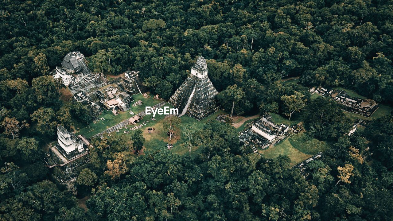 High angle view of trees and archeological pyramids in guatemala