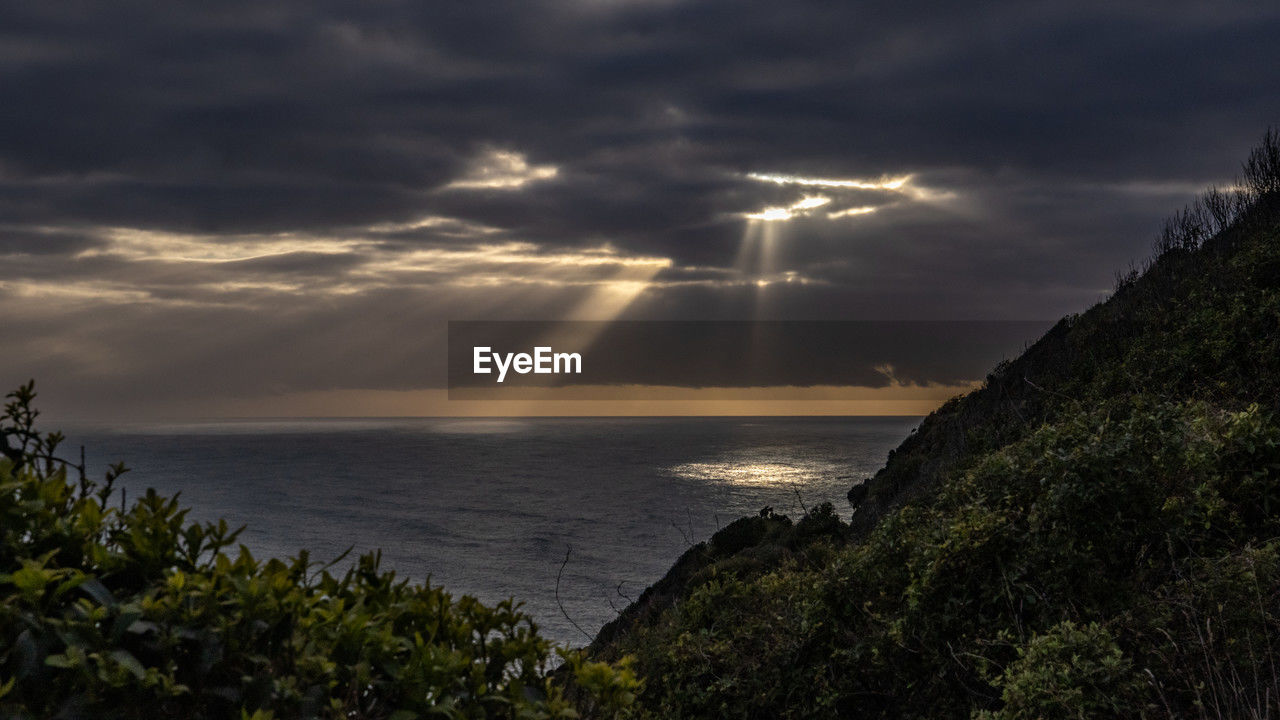 cloud, sky, water, sea, beauty in nature, nature, coast, storm, horizon, sunlight, scenics - nature, environment, ocean, thunderstorm, morning, dusk, land, dramatic sky, lightning, horizon over water, beach, storm cloud, power in nature, plant, no people, outdoors, shore, cloudscape, tranquility, tree, overcast, sunrise, landscape, seascape, reflection