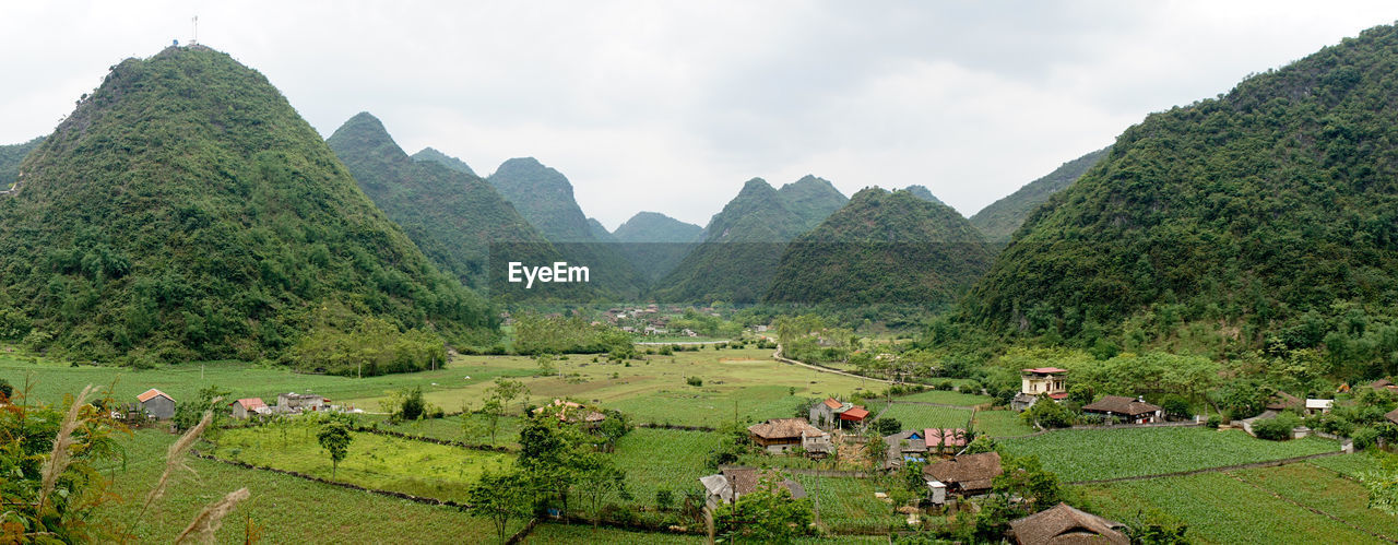 Green hill and mountains near rice fields in bac son valley, vietnam.