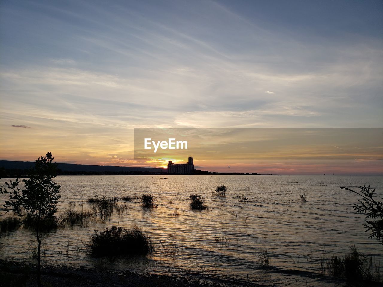 SILHOUETTE TREES BY SEA AGAINST SKY DURING SUNSET