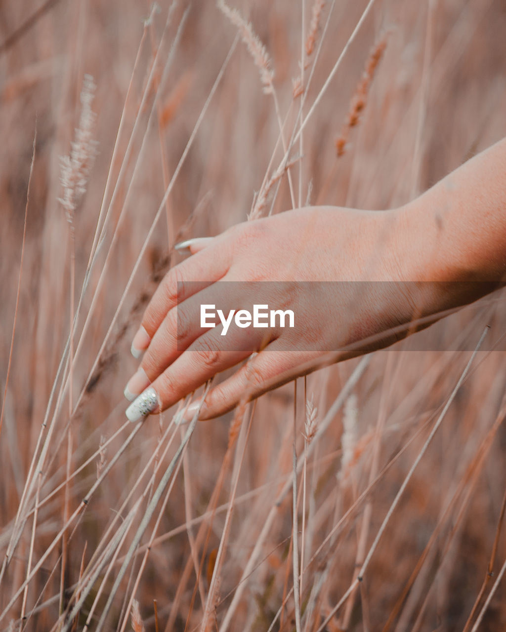 Cropped hand of woman touching plants on land