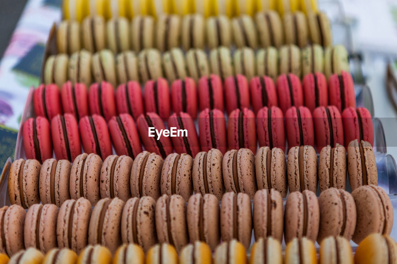 Close-up of multi colored macaroon for sale