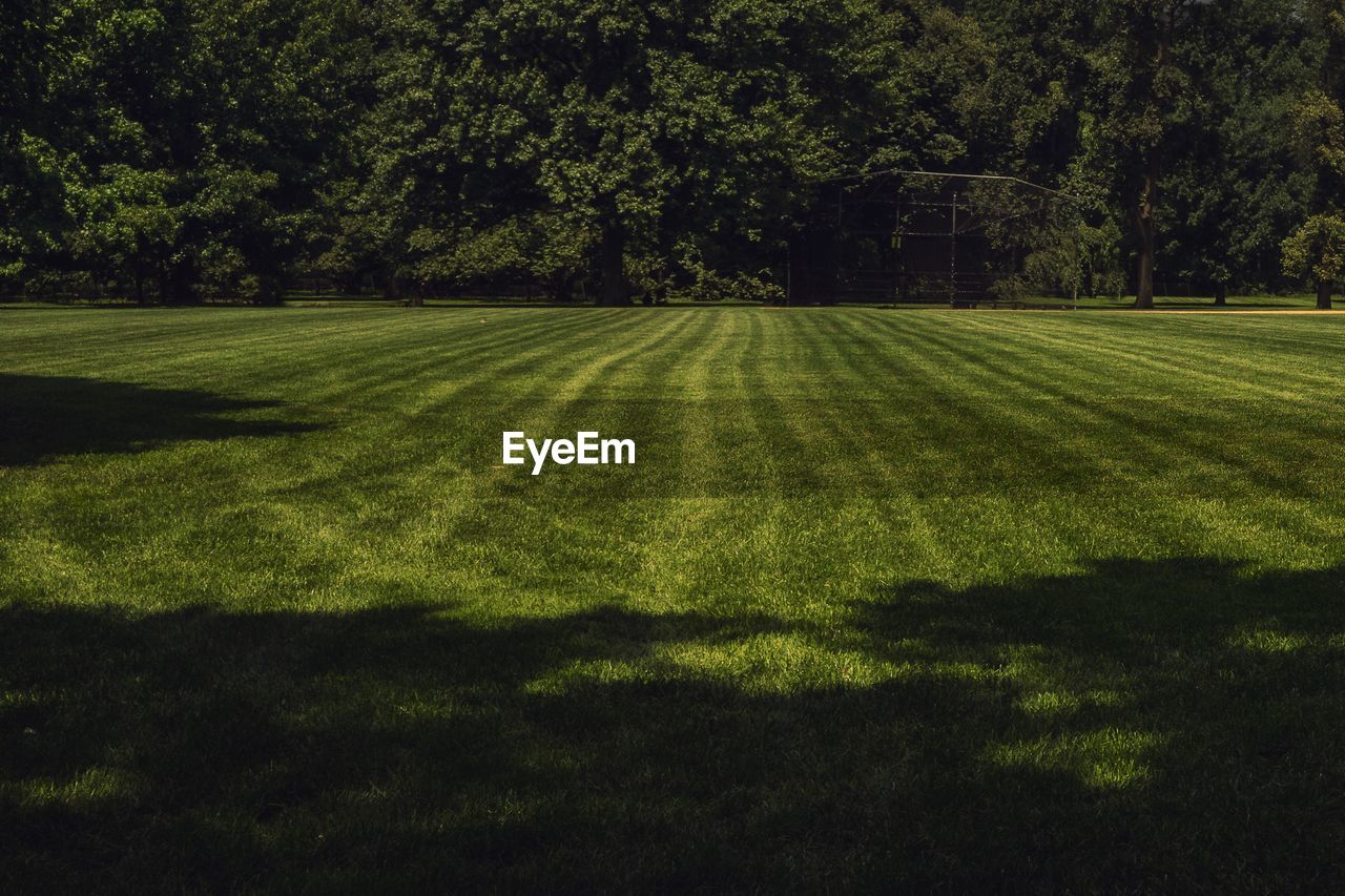 Scenic view of grassy field against trees