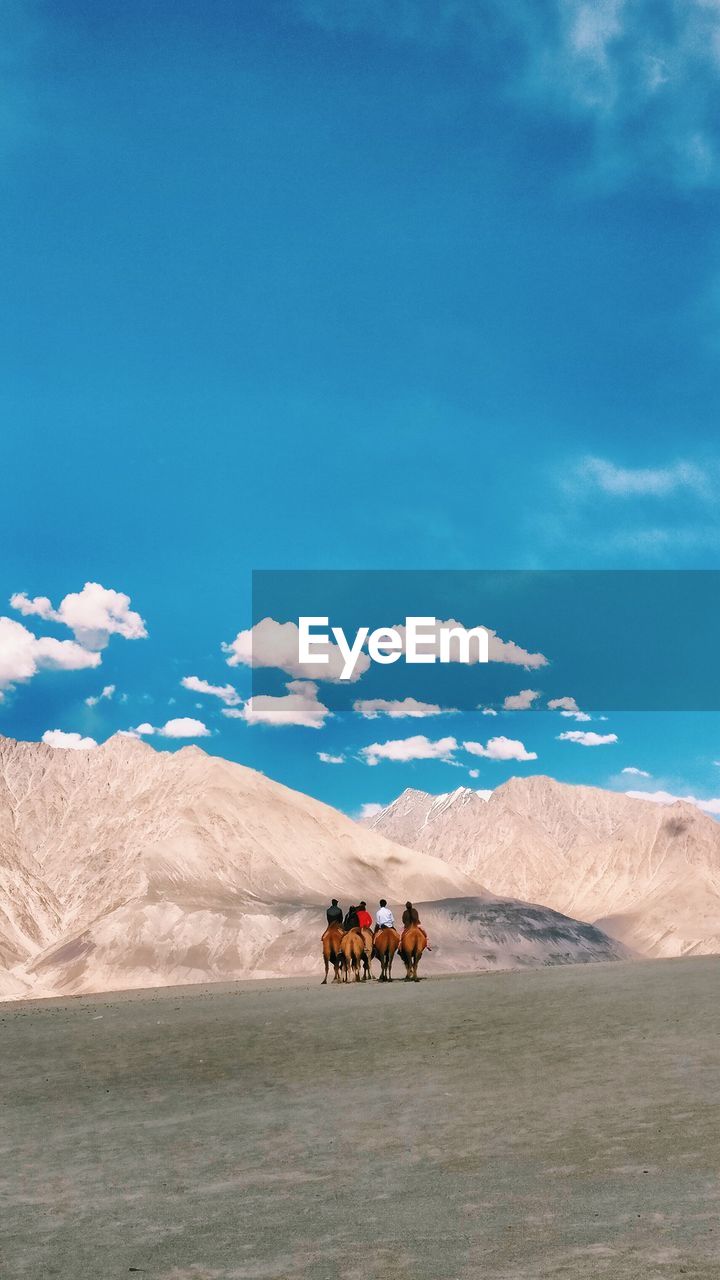 Rear view of tourist riding on camel at nubra valley