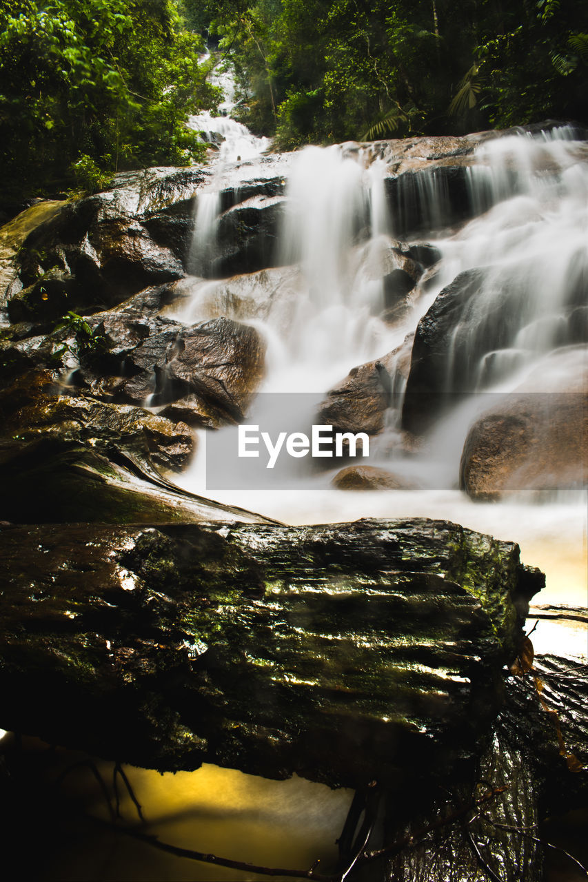 WATERFALL IN FOREST