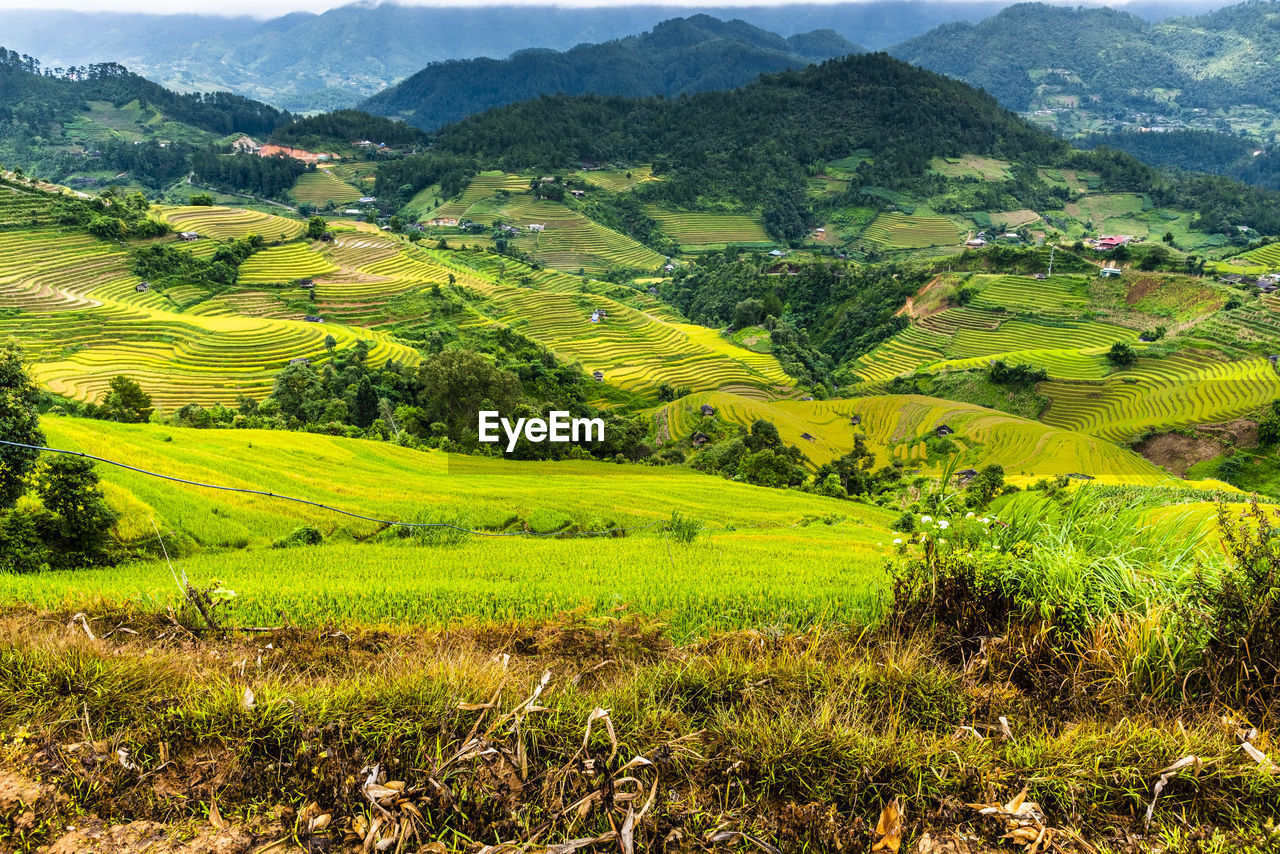 scenic view of field against mountains