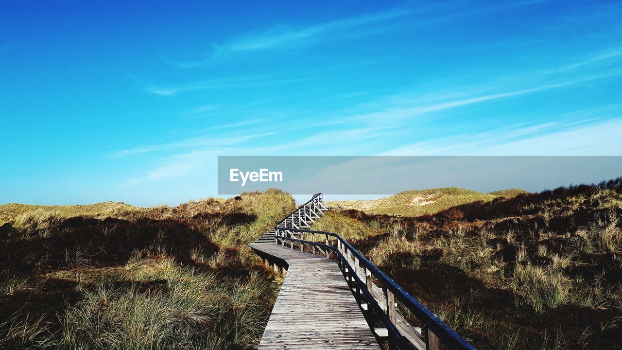 BOARDWALK BY PLANTS AGAINST SKY