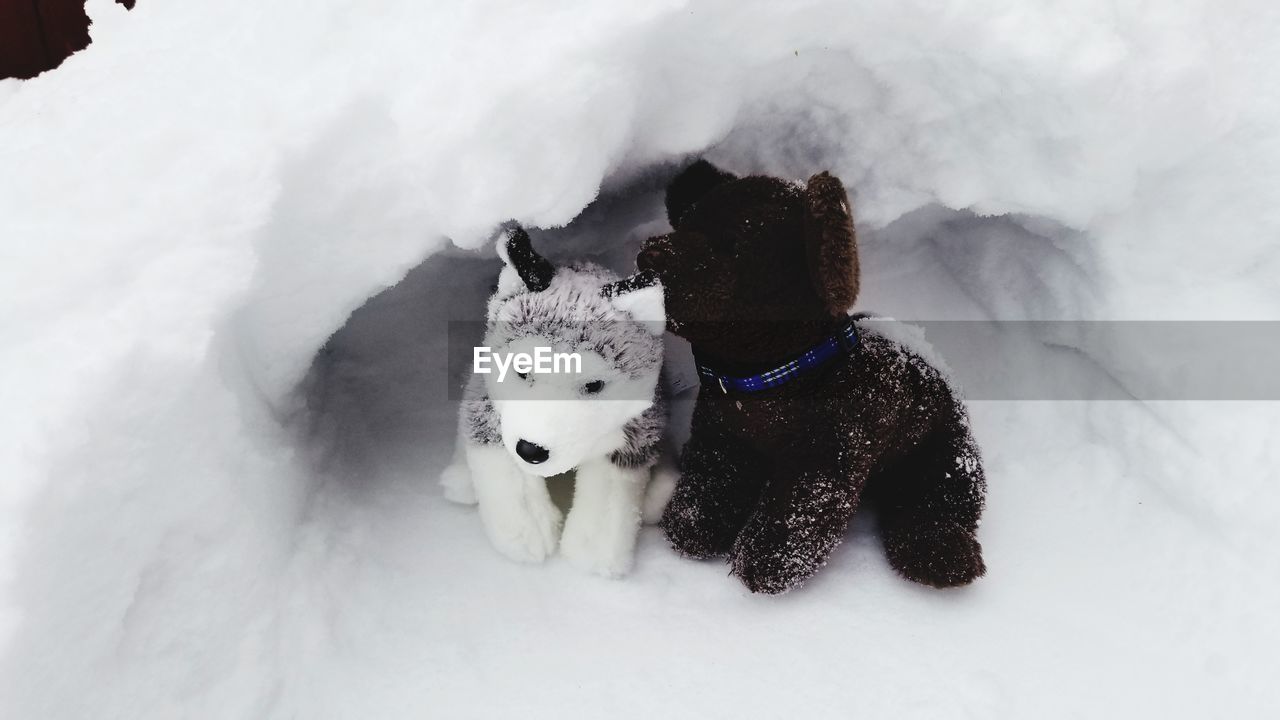 Stuffed toy husky and goldendoodle playing in snow