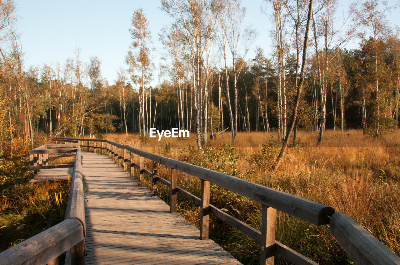 View of wooden footbridge in forest