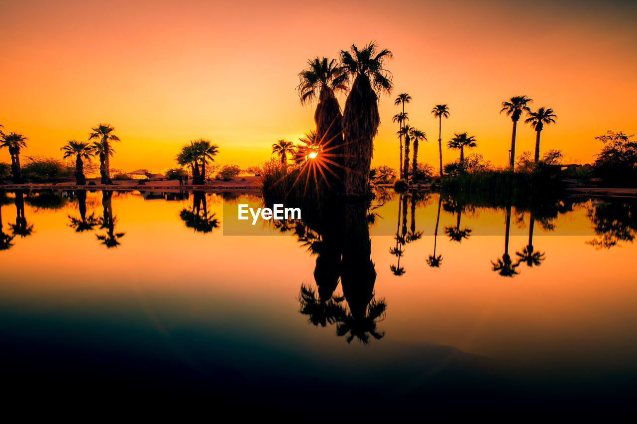 reflection, sunset, water, sky, tree, tropical climate, beauty in nature, palm tree, silhouette, nature, tranquility, dusk, scenics - nature, evening, plant, tranquil scene, sun, lake, orange color, environment, idyllic, landscape, coconut palm tree, no people, travel destinations, outdoors, horizon, cloud, afterglow, twilight, sunlight, land, non-urban scene, travel, standing water