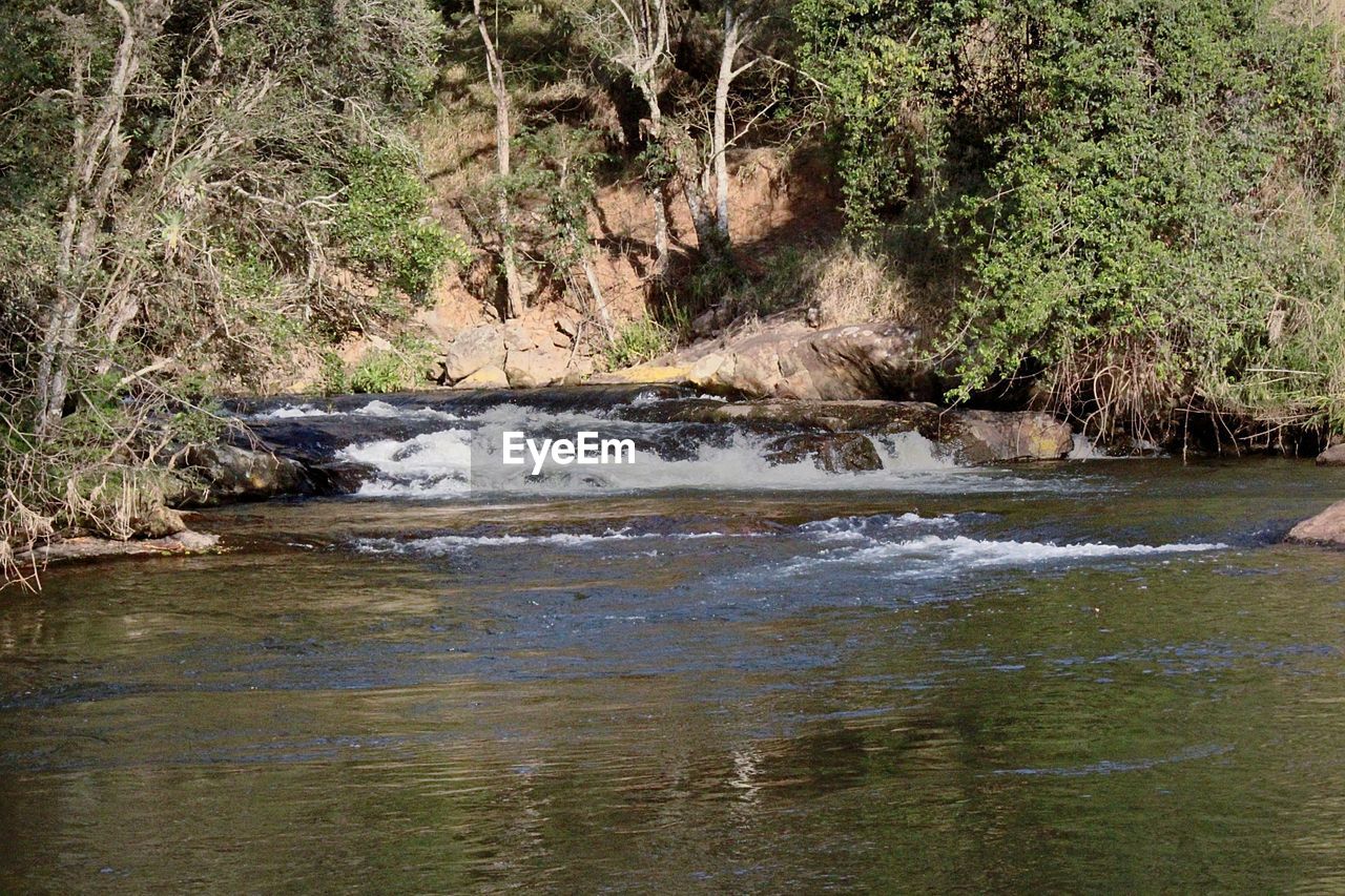 SCENIC VIEW OF RIVER FLOWING THROUGH FOREST