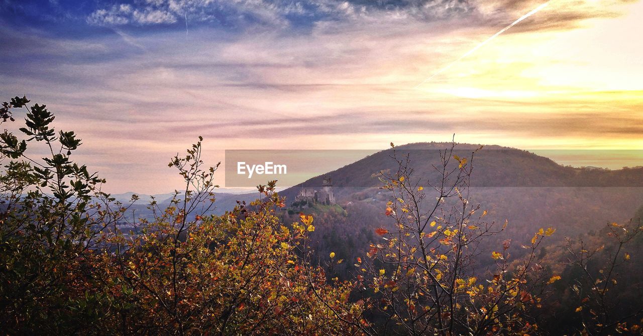 Trees growing by mountains against cloudy sky during sunset