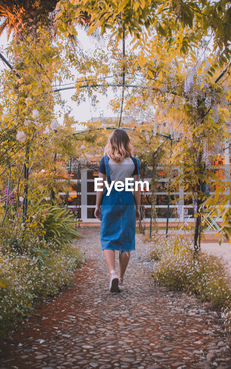 Rear view of woman walking on footpath during autumn