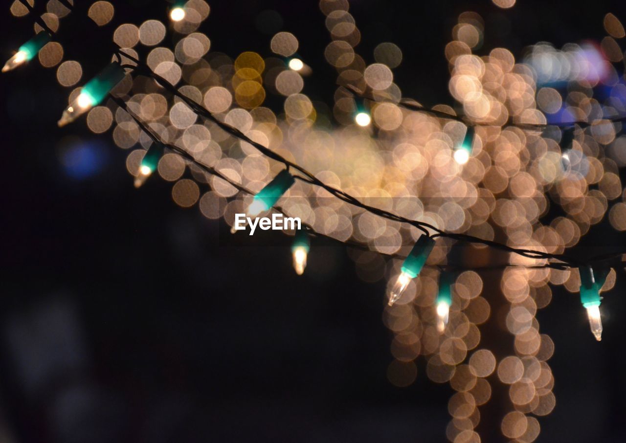 Close-up of illuminated string lights at night